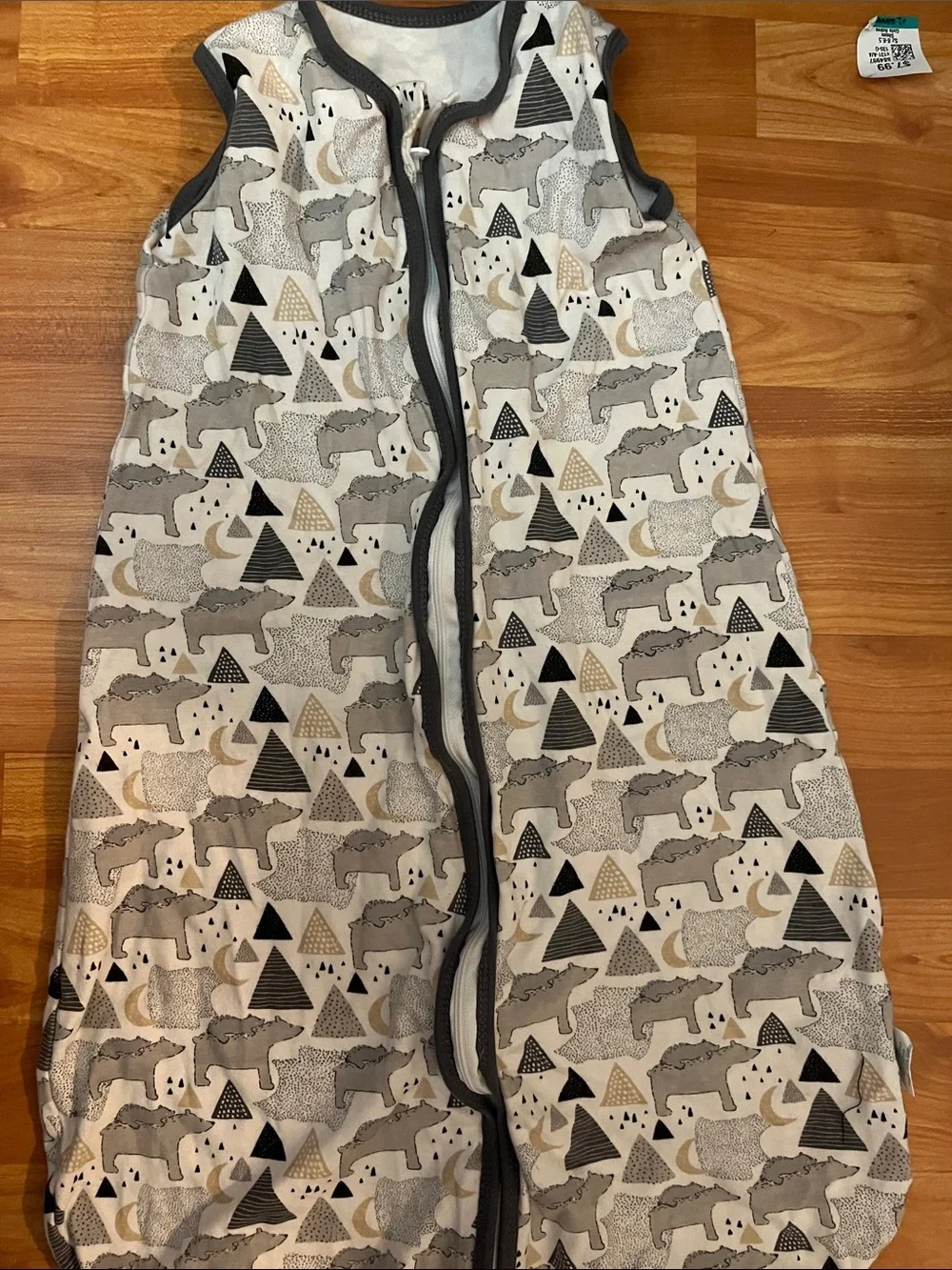 Cute Castle gray bear